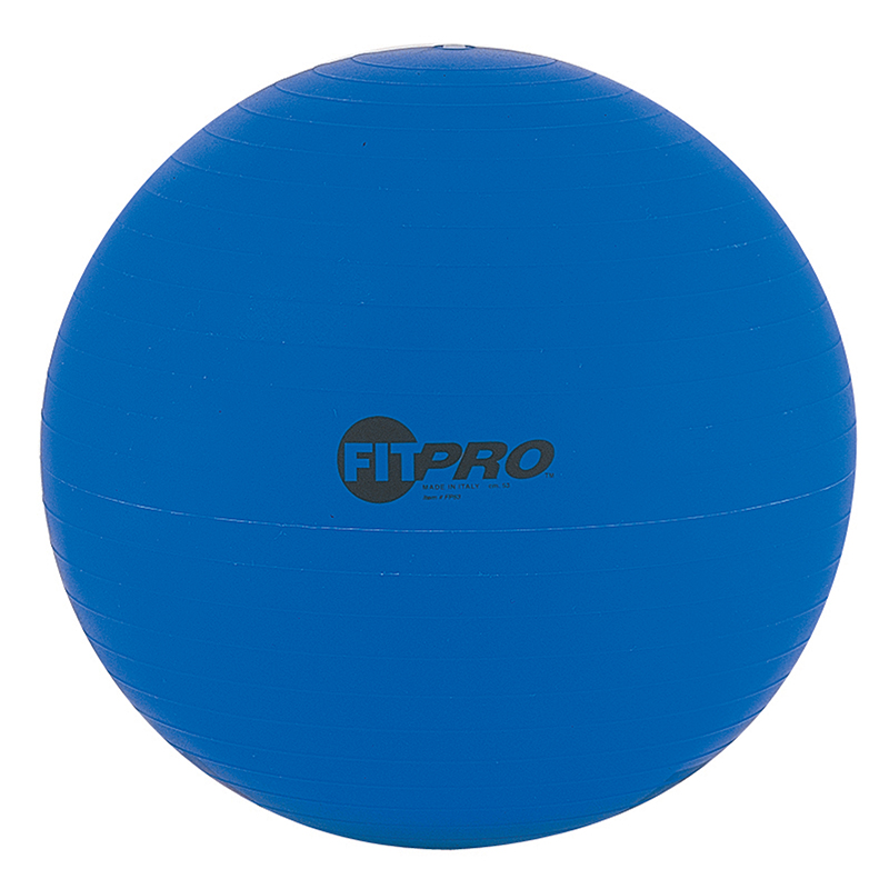 FITPRO 53CM TRAINING & EXERCISE BALL | eBay