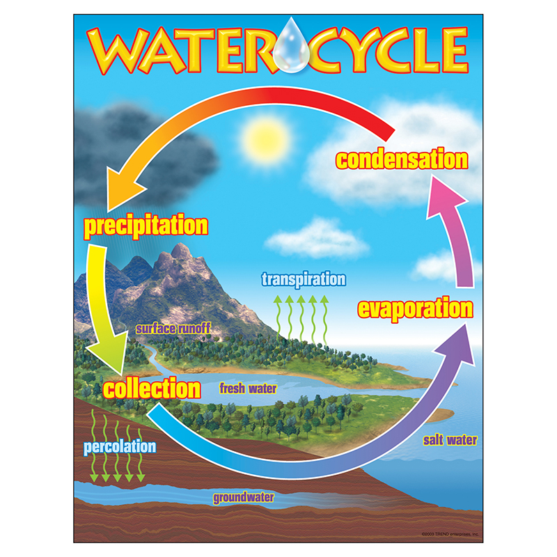 water cycle diagram for 5th grade